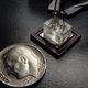 Image for article titled Scientists Develop Micro Microscope: Fits on a Chip, Costs $10